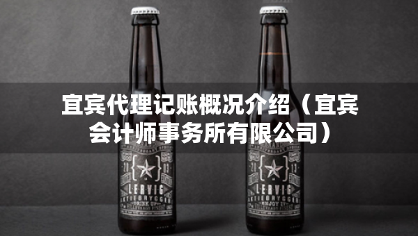 宜宾代理记账概况介绍（宜宾会计师事务所有限公司）