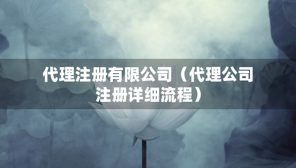 代理注册有限公司（代理公司注册详细流程）