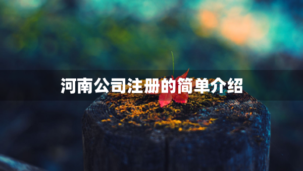 河南公司注册的简单介绍
