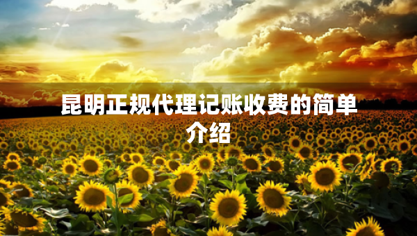 昆明正规代理记账收费的简单介绍