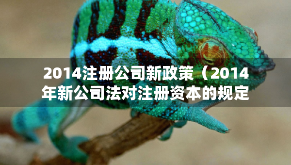 2014注册公司新政策（2014年新公司法对注册资本的规定）