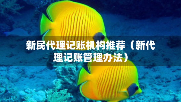 新民代理记账机构推荐（新代理记账管理办法）