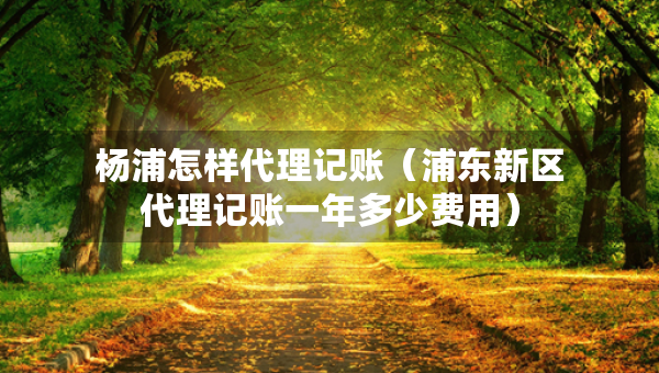 杨浦怎样代理记账（浦东新区代理记账一年多少费用）
