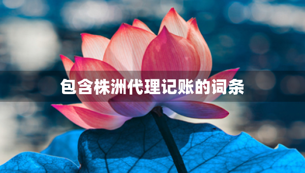 包含株洲代理记账的词条