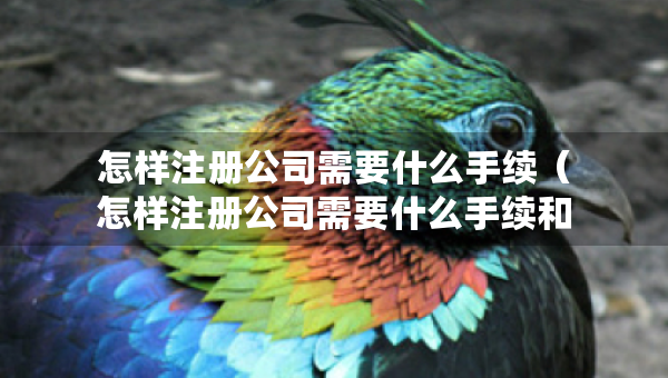 怎样注册公司需要什么手续（怎样注册公司需要什么手续和条件）