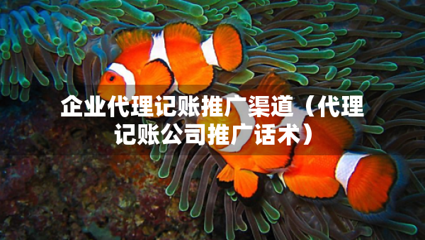 企业代理记账推广渠道（代理记账公司推广话术）