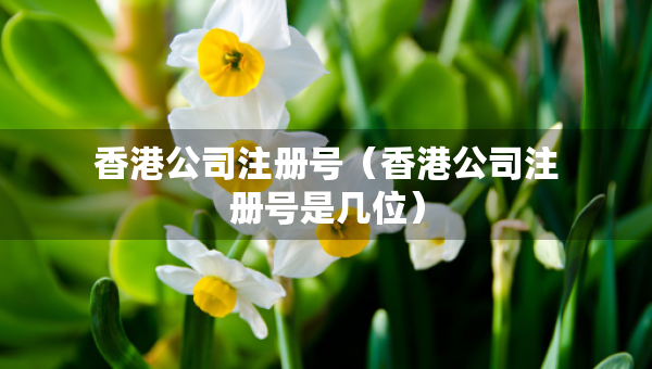 香港公司注册号（香港公司注册号是几位）