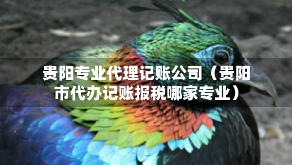 贵阳专业代理记账公司（贵阳市代办记账报税哪家专业）