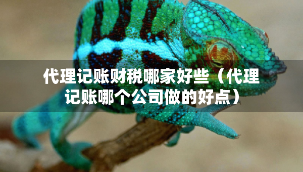 代理记账财税哪家好些（代理记账哪个公司做的好点）
