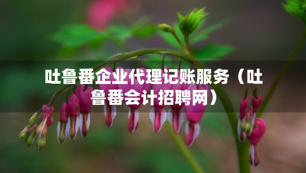 吐鲁番企业代理记账服务（吐鲁番会计招聘网）