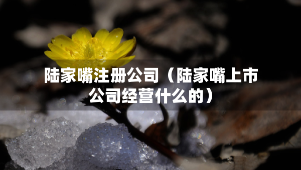 陆家嘴注册公司（陆家嘴上市公司经营什么的）