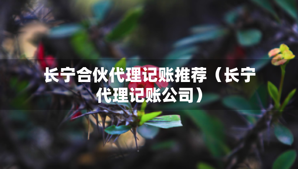长宁合伙代理记账推荐（长宁代理记账公司）