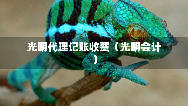 光明代理记账收费（光明会计）
