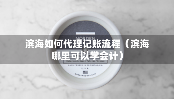 滨海如何代理记账流程（滨海哪里可以学会计）