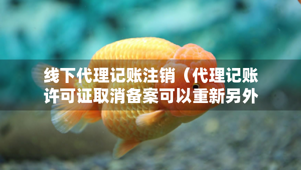 线下代理记账注销（代理记账许可证取消备案可以重新另外加单位备案吗）