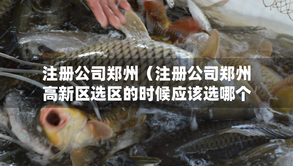 注册公司郑州（注册公司郑州高新区选区的时候应该选哪个区?）