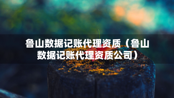 鲁山数据记账代理资质（鲁山数据记账代理资质公司）