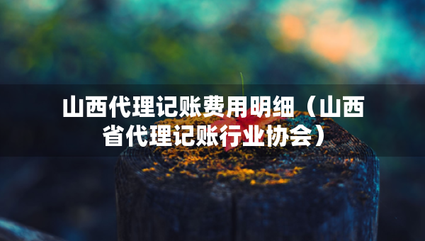 山西代理记账费用明细（山西省代理记账行业协会）