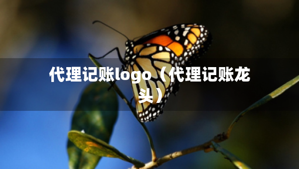 代理记账logo（代理记账龙头）