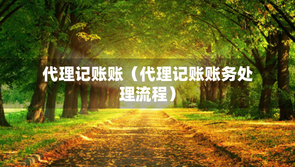代理记账账（代理记账账务处理流程）