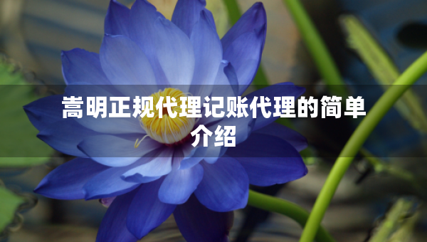 嵩明正规代理记账代理的简单介绍