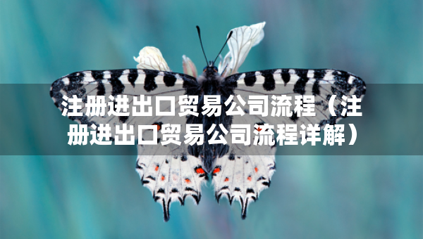 注册进出口贸易公司流程（注册进出口贸易公司流程详解）