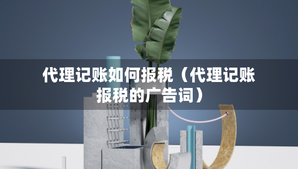 代理记账如何报税（代理记账报税的广告词）