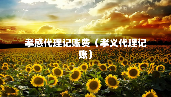 孝感代理记账费（孝义代理记账）