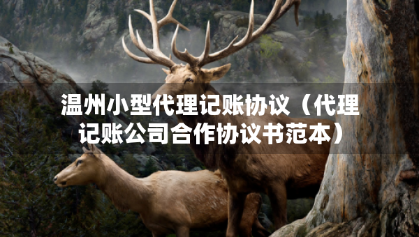 温州小型代理记账协议（代理记账公司合作协议书范本）