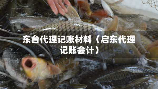 东台代理记账材料（启东代理记账会计）