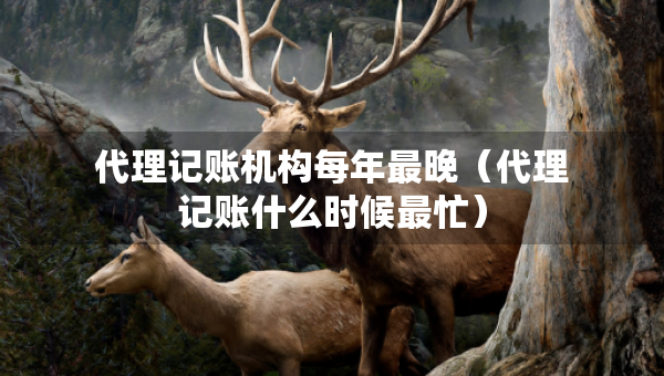 代理记账机构每年最晚（代理记账什么时候最忙）