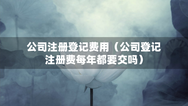 公司注册登记费用（公司登记注册费每年都要交吗）