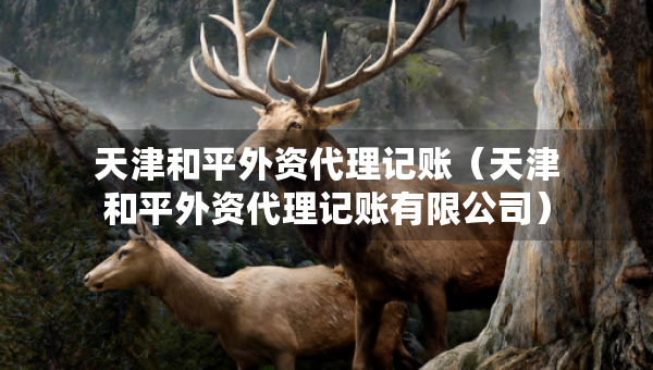 天津和平外资代理记账（天津和平外资代理记账有限公司）