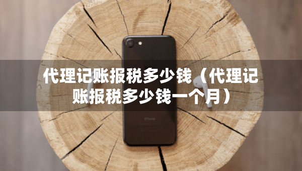 代理记账报税多少钱（代理记账报税多少钱一个月）