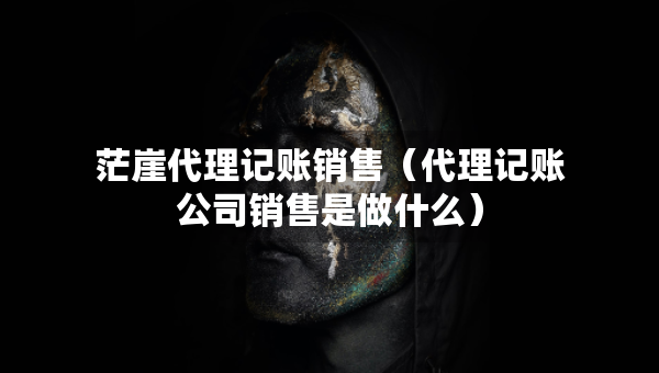 茫崖代理记账销售（代理记账公司销售是做什么）