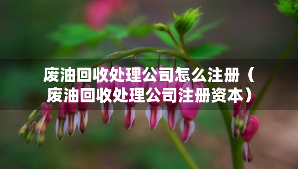 废油回收处理公司怎么注册（废油回收处理公司注册资本）