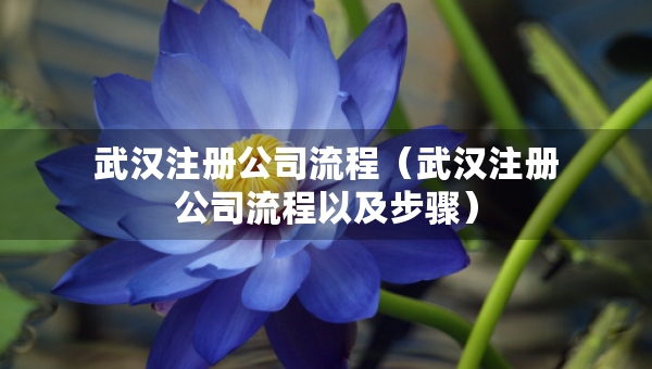 武汉注册公司流程（武汉注册公司流程以及步骤）