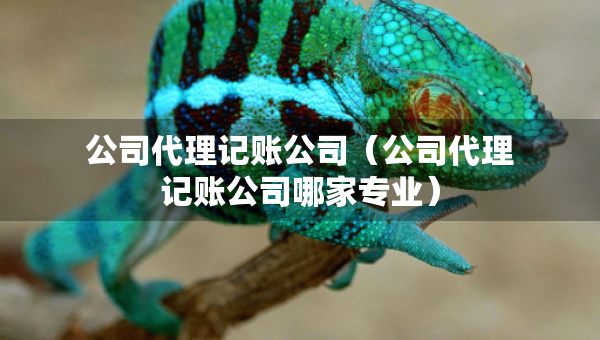 公司代理记账公司（公司代理记账公司哪家专业）