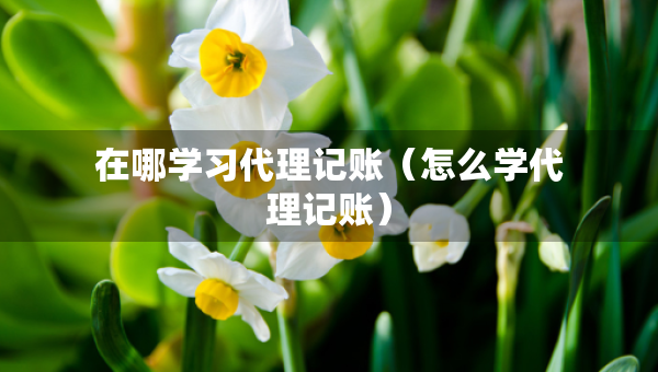 在哪学习代理记账（怎么学代理记账）