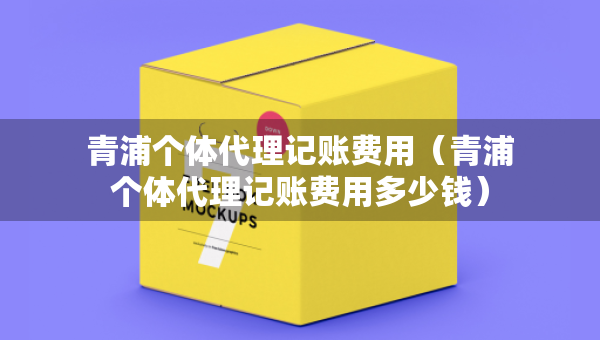青浦个体代理记账费用（青浦个体代理记账费用多少钱）