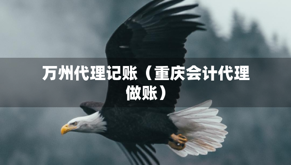 万州代理记账（重庆会计代理做账）