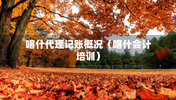 喀什代理记账概况（喀什会计培训）