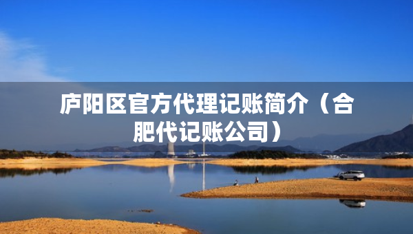 庐阳区官方代理记账简介（合肥代记账公司）