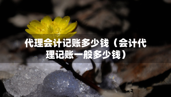 代理会计记账多少钱（会计代理记账一般多少钱）