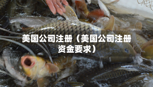 美国公司注册（美国公司注册资金要求）