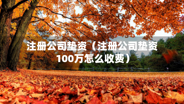 注册公司垫资（注册公司垫资100万怎么收费）