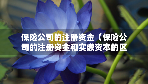 保险公司的注册资金（保险公司的注册资金和实缴资本的区别）