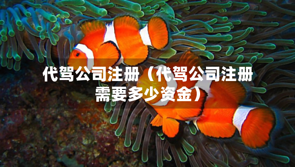 代驾公司注册（代驾公司注册需要多少资金）