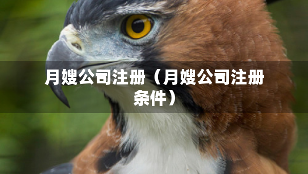 月嫂公司注册(月嫂公司注册条件) 月嫂公司注册(月嫂公司注册条件)