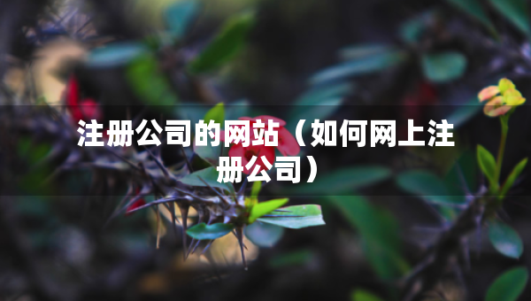 注册公司的网站（如何网上注册公司）